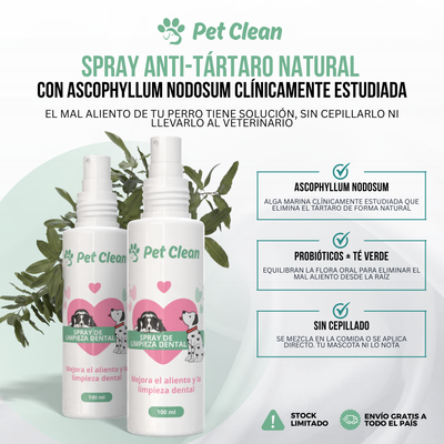PetClean™ – Saubere Zähne, ohne Bürste und ohne Tierarzt.