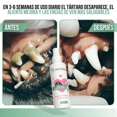 PetClean™ – Saubere Zähne, ohne Bürste und ohne Tierarzt.