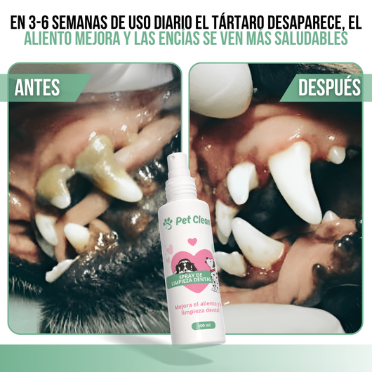 PetClean™ – Saubere Zähne, ohne Bürste und ohne Tierarzt.