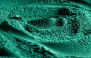 Chlorophyllpulver